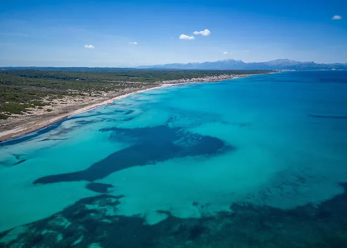 Ideal Property Mallorca - Ca Sa Tati