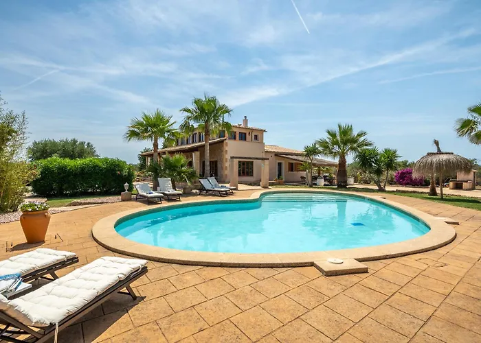 Buger - 4740 Mallorca