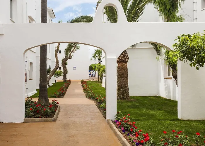 Globales Bouganvilla