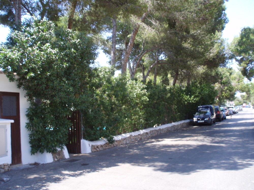 Osa Menor Cala d'Or (Mallorca)