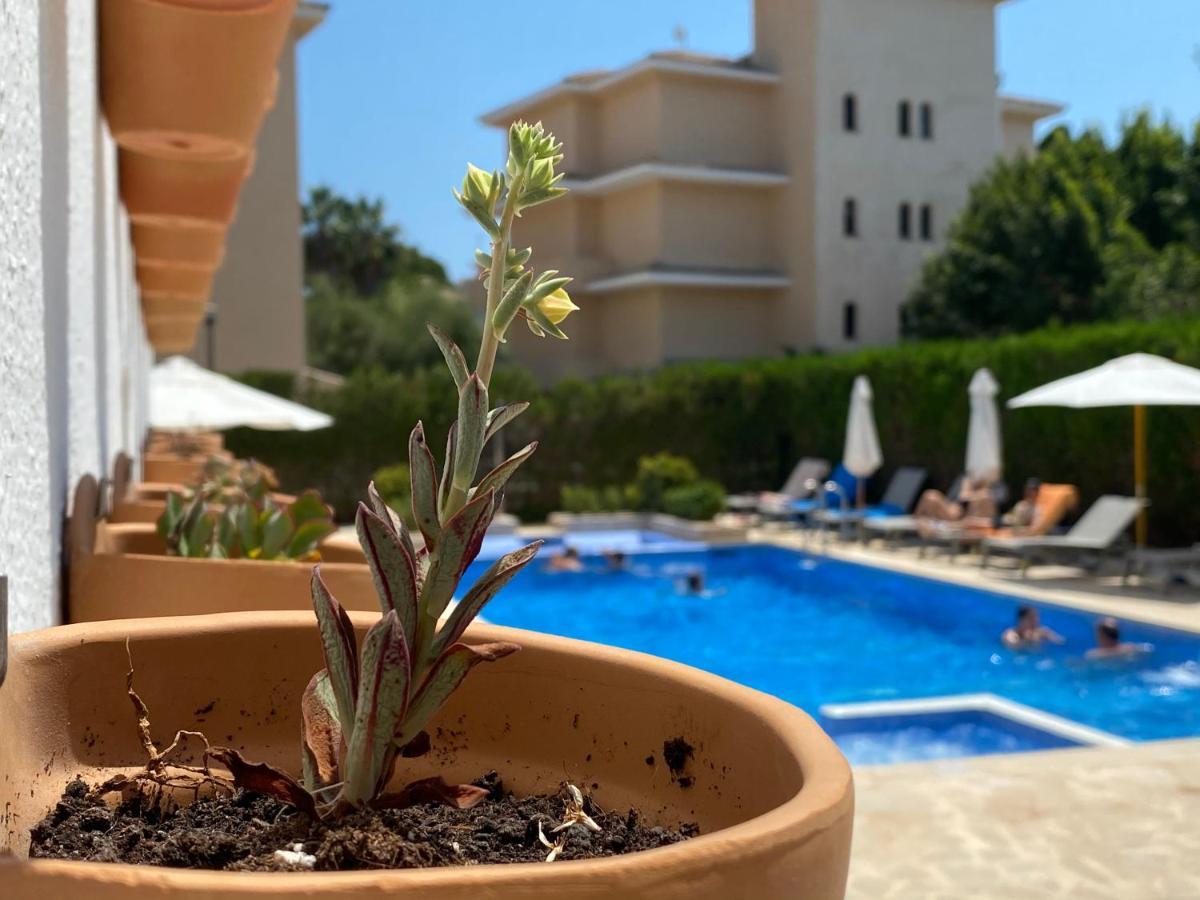 Apartamento Sureda