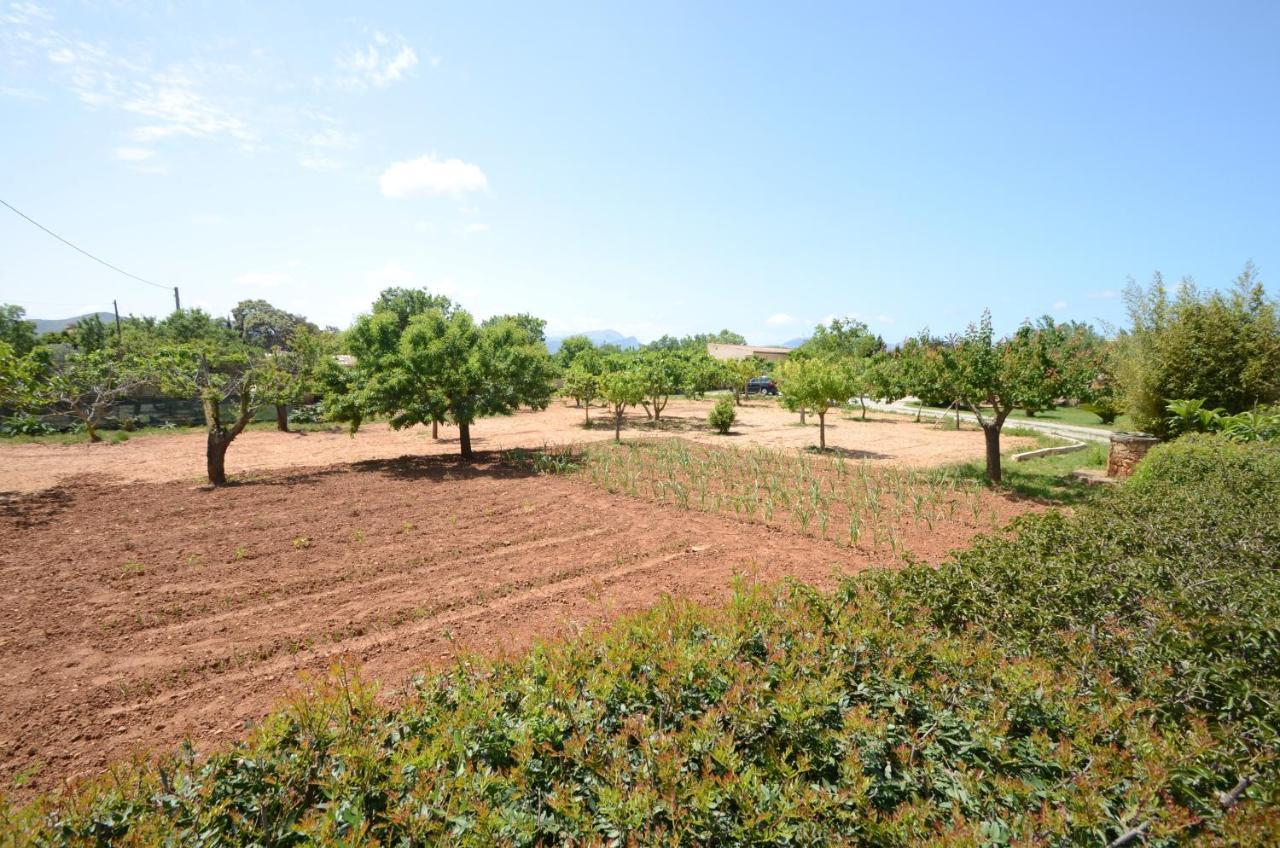 Pau, Pool&garden Close To The