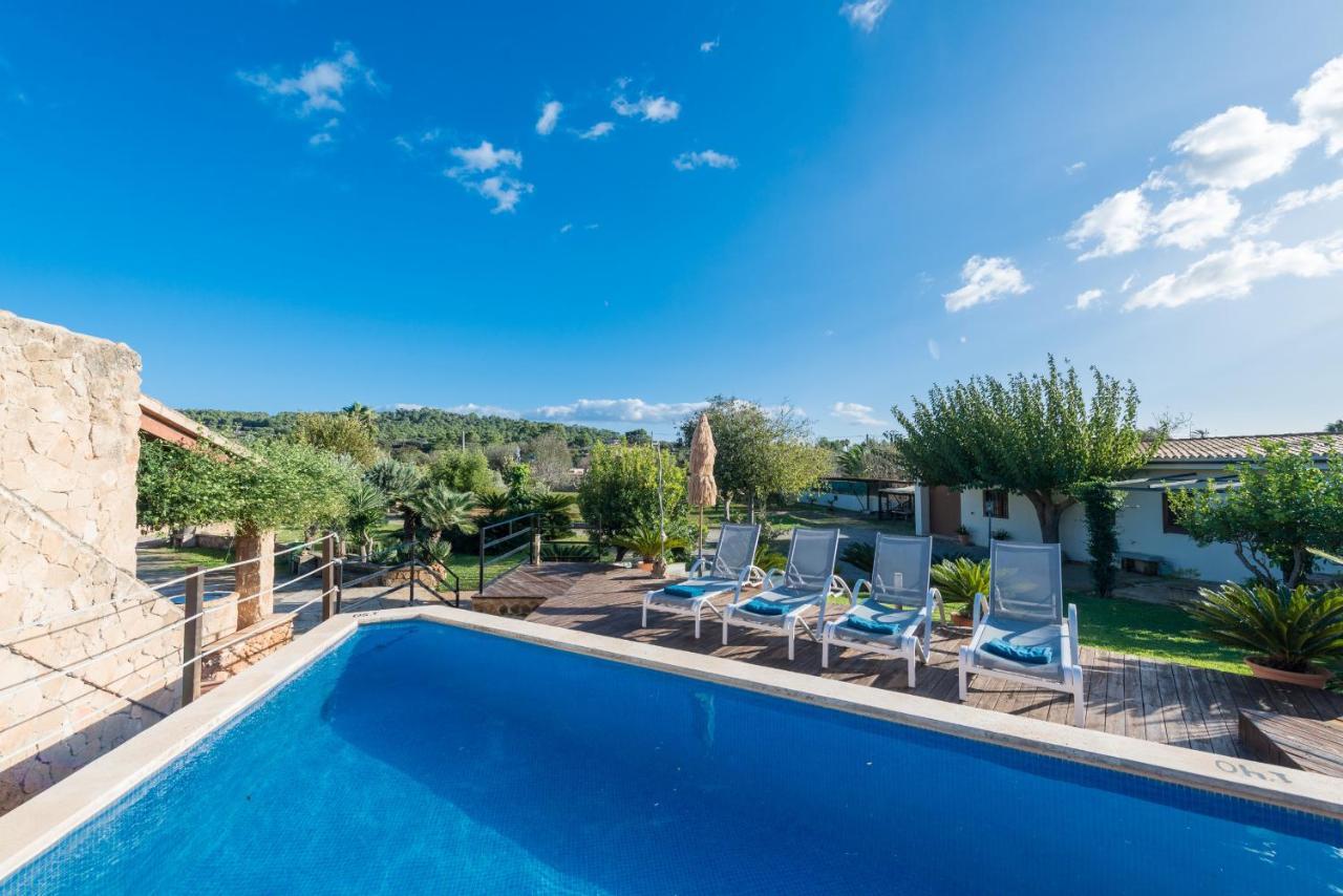 Pau, Pool&garden Close To The