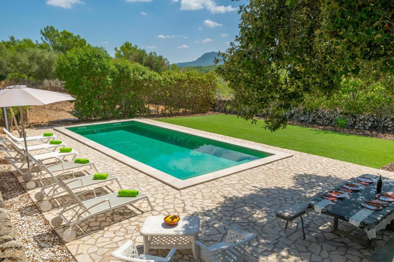 Gallot De Punxuat Algaida (Mallorca)