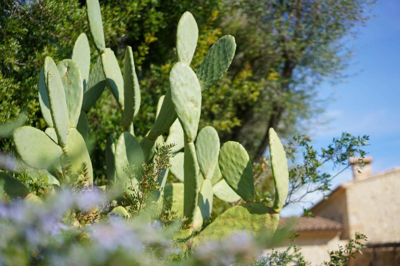 Suau Dalt Villa Puerto Pollensa