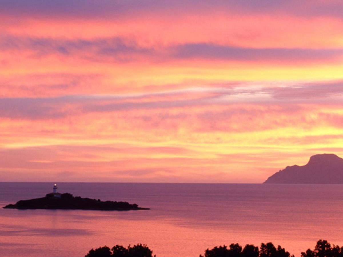 Vida Sana * Puerto de Alcúdia