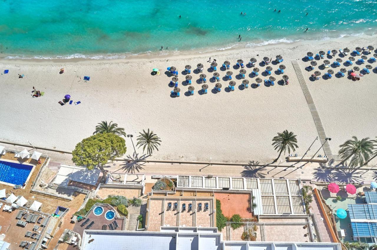Flamboyan Caribe & Magaluf (Mallorca)