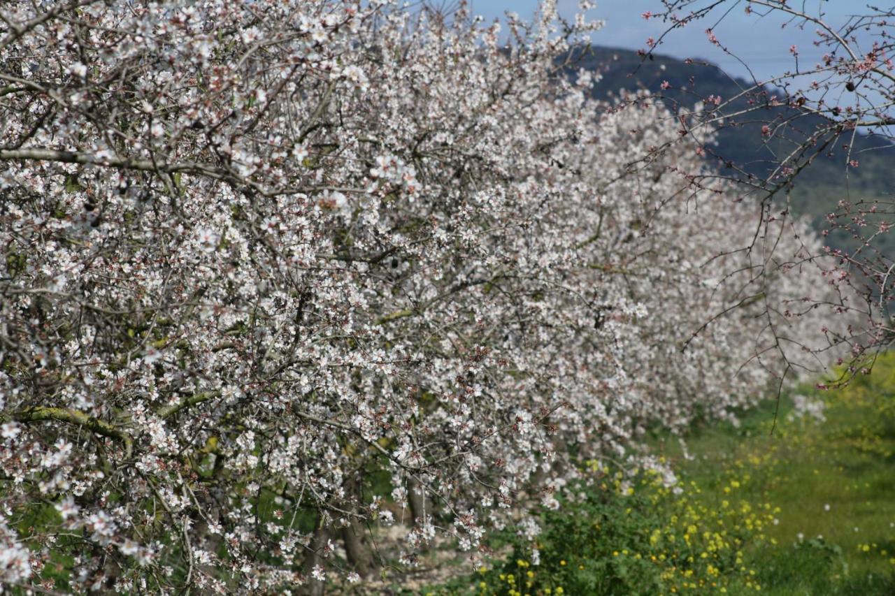 Сasa de vacaciones Finca Sa Rota De Son Ramon 132 By Mallorca Charme