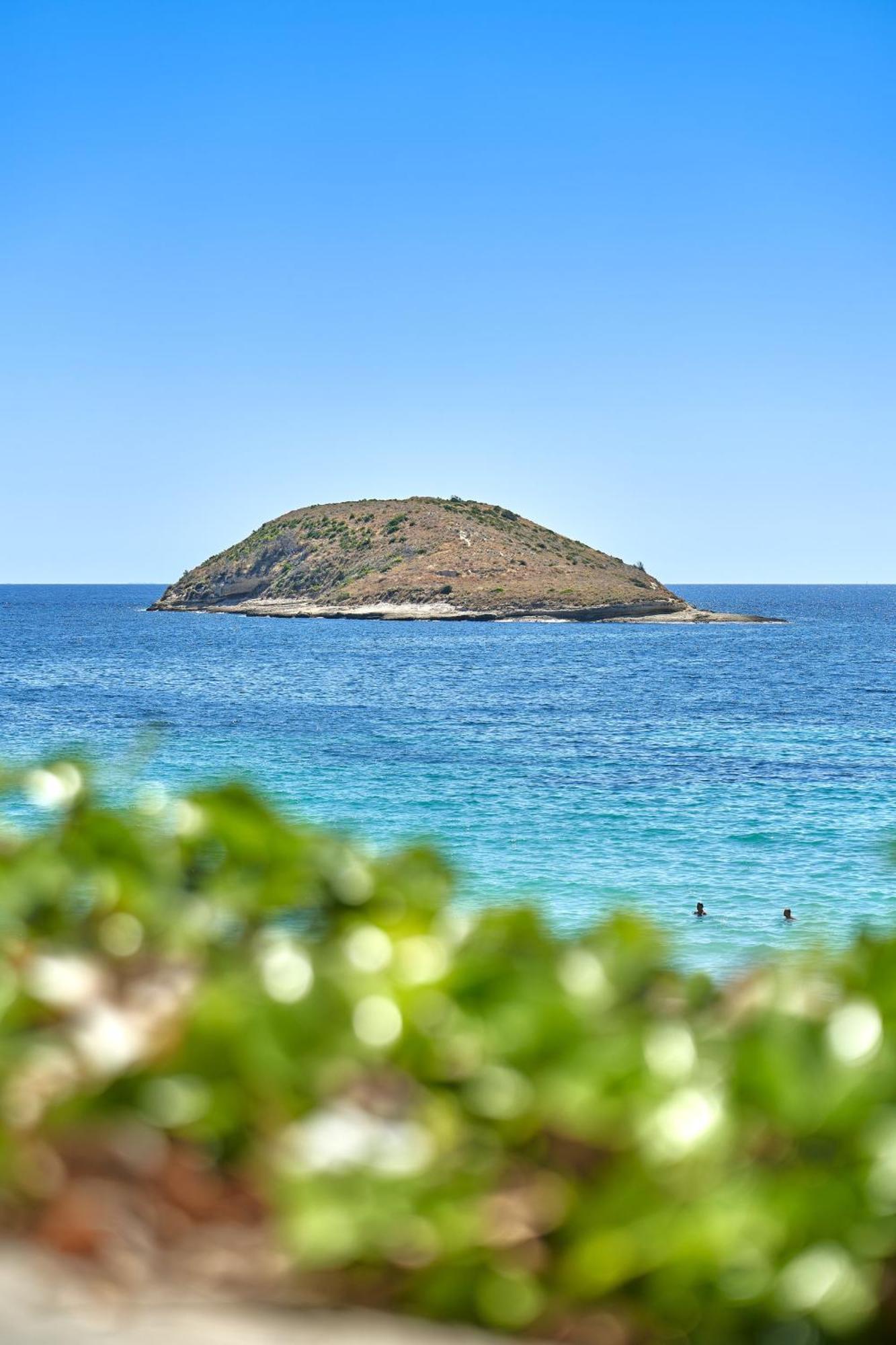 Flamboyan Caribe & Hotel Magaluf (Mallorca)