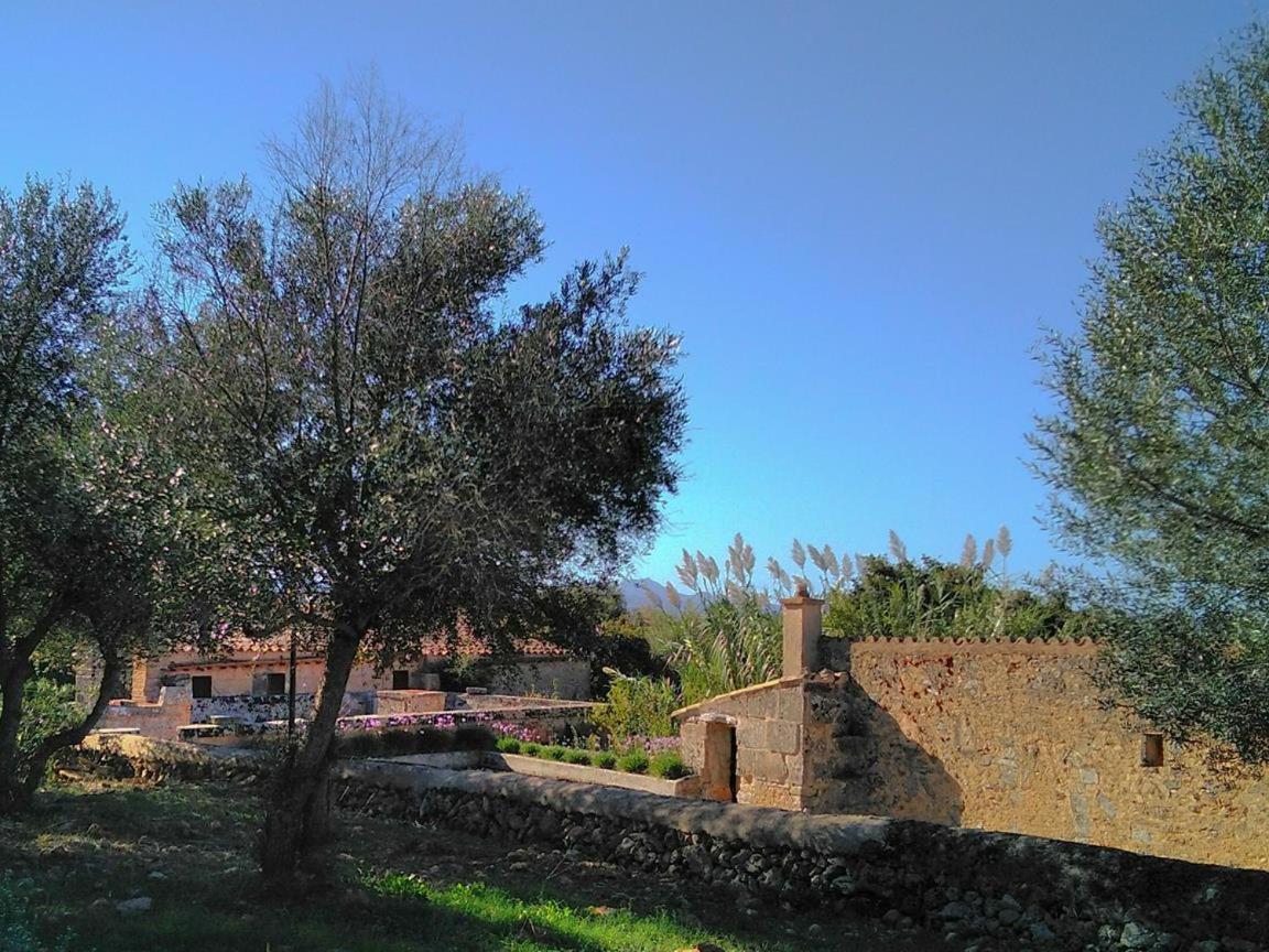 Son Sureda Agroturismo
