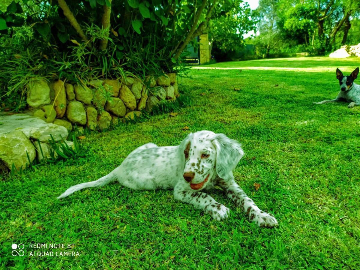 Villa Ca Na Maria