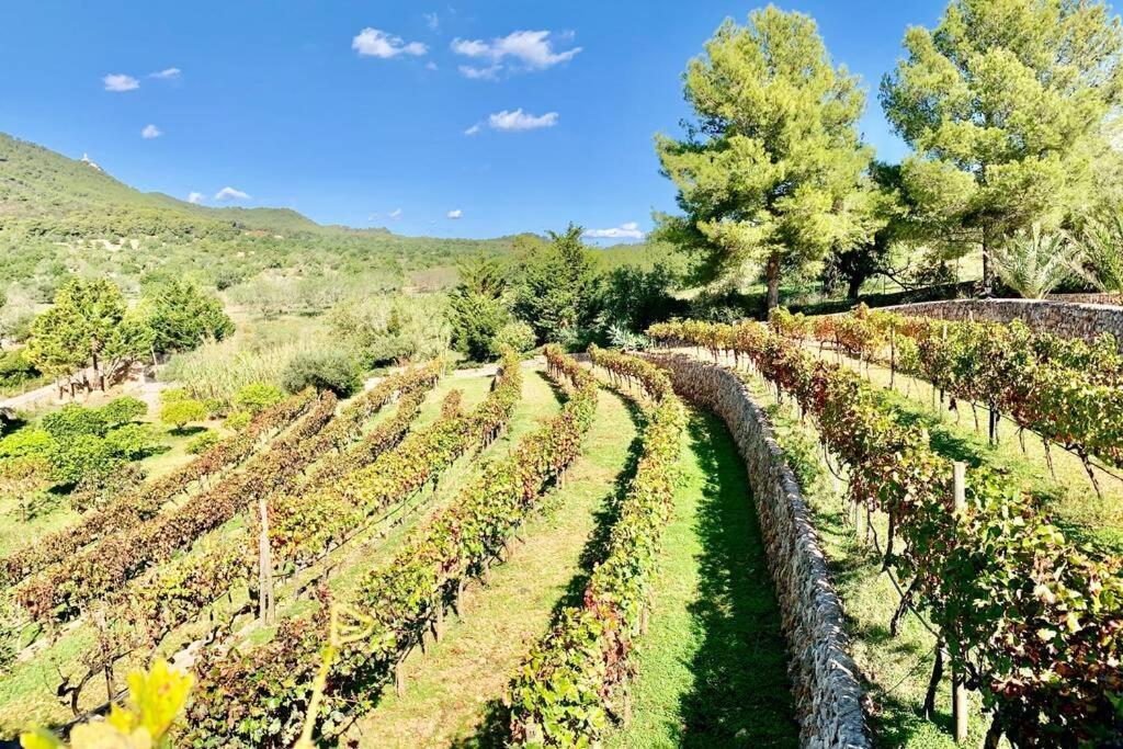 Es Castell De Ca N'alou De Ses Cases Noves Villa