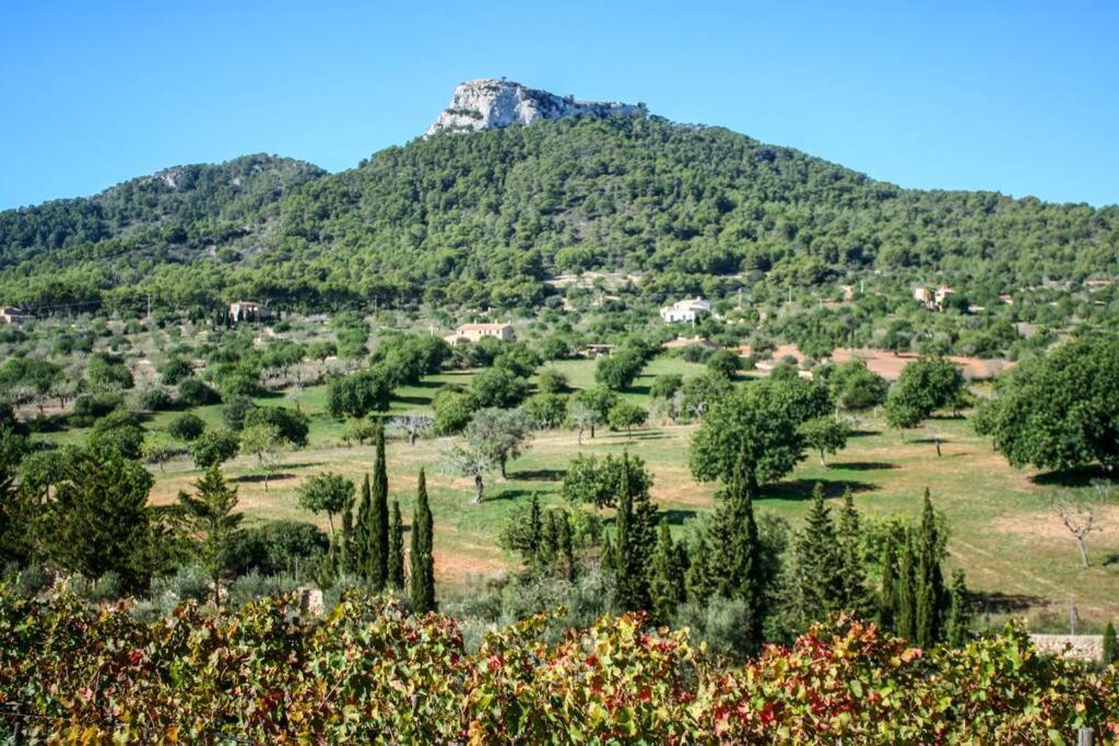 Es Castell De Ca N'alou De Ses Cases Noves * S'Horta