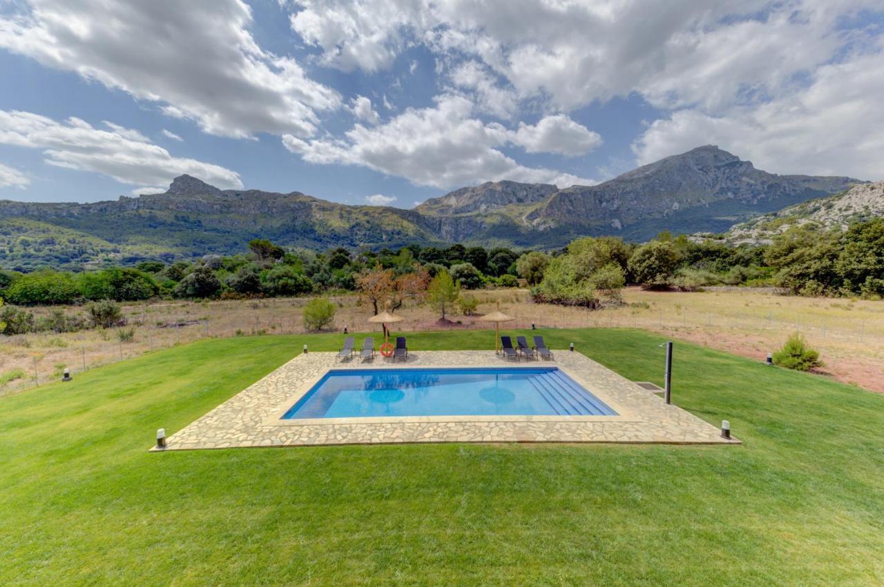 Paradis * Pollenca