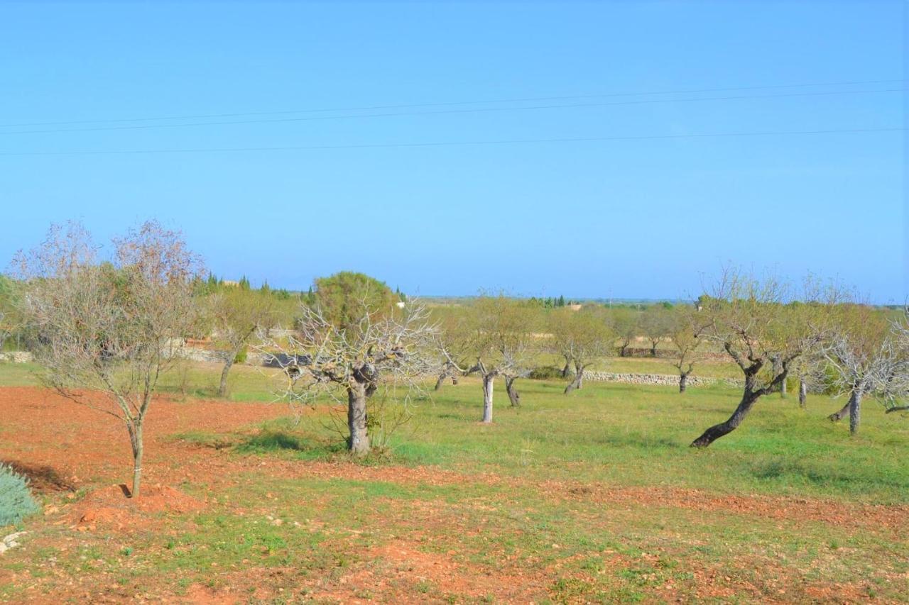 Holiday home 099 Burguet Etv 6452 By Mallorca Charme Santa Margalida