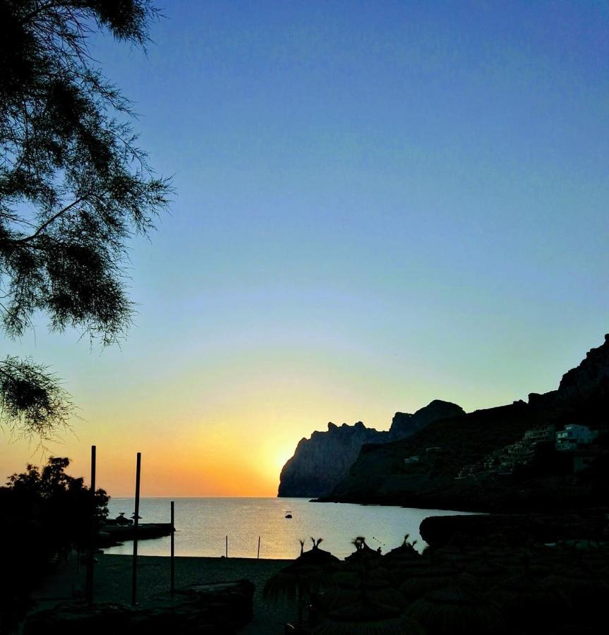 Elegant In With Private Pool Pollensa