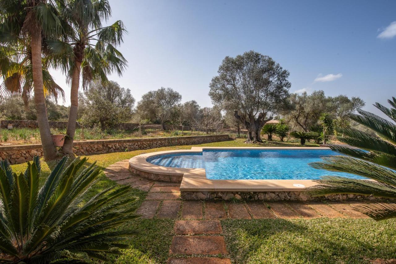 Palea Campos (Mallorca)