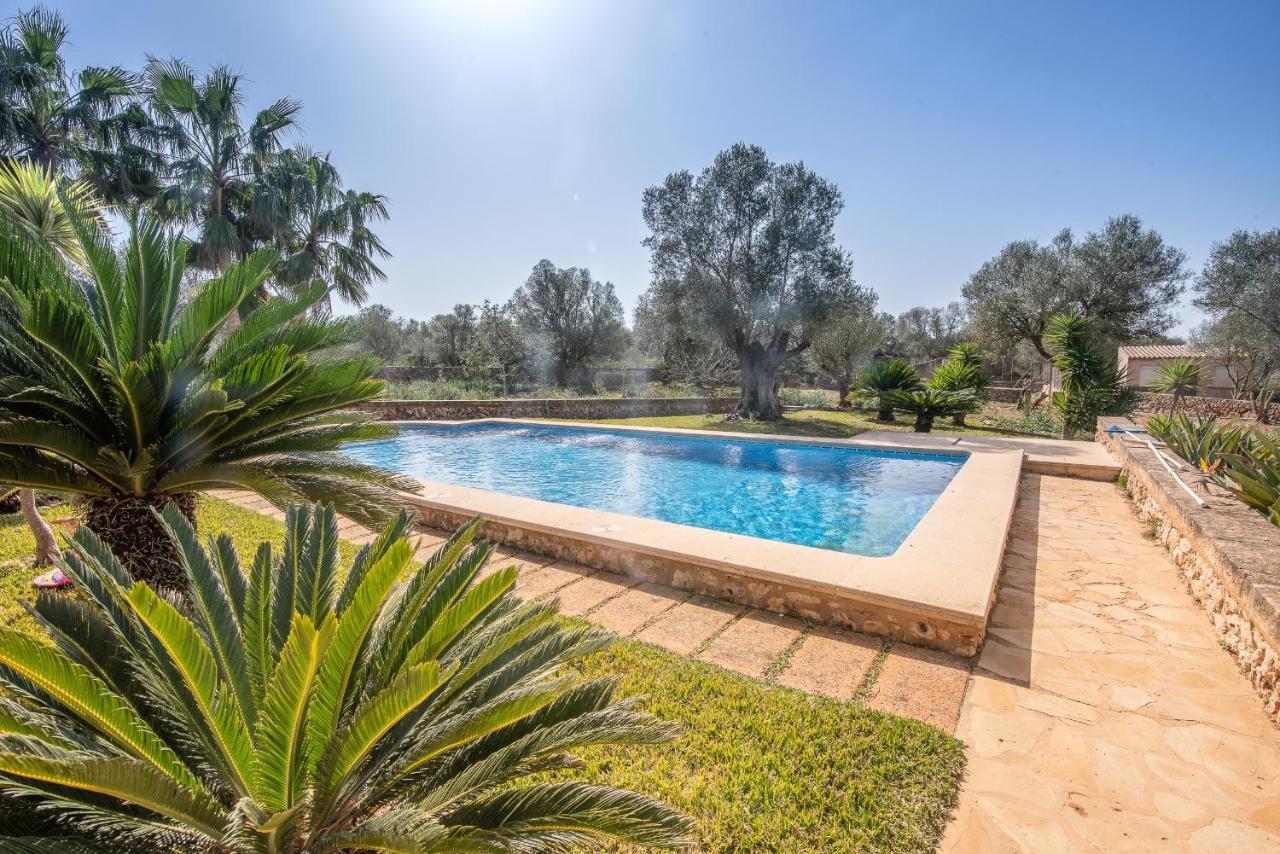 Villa Palea