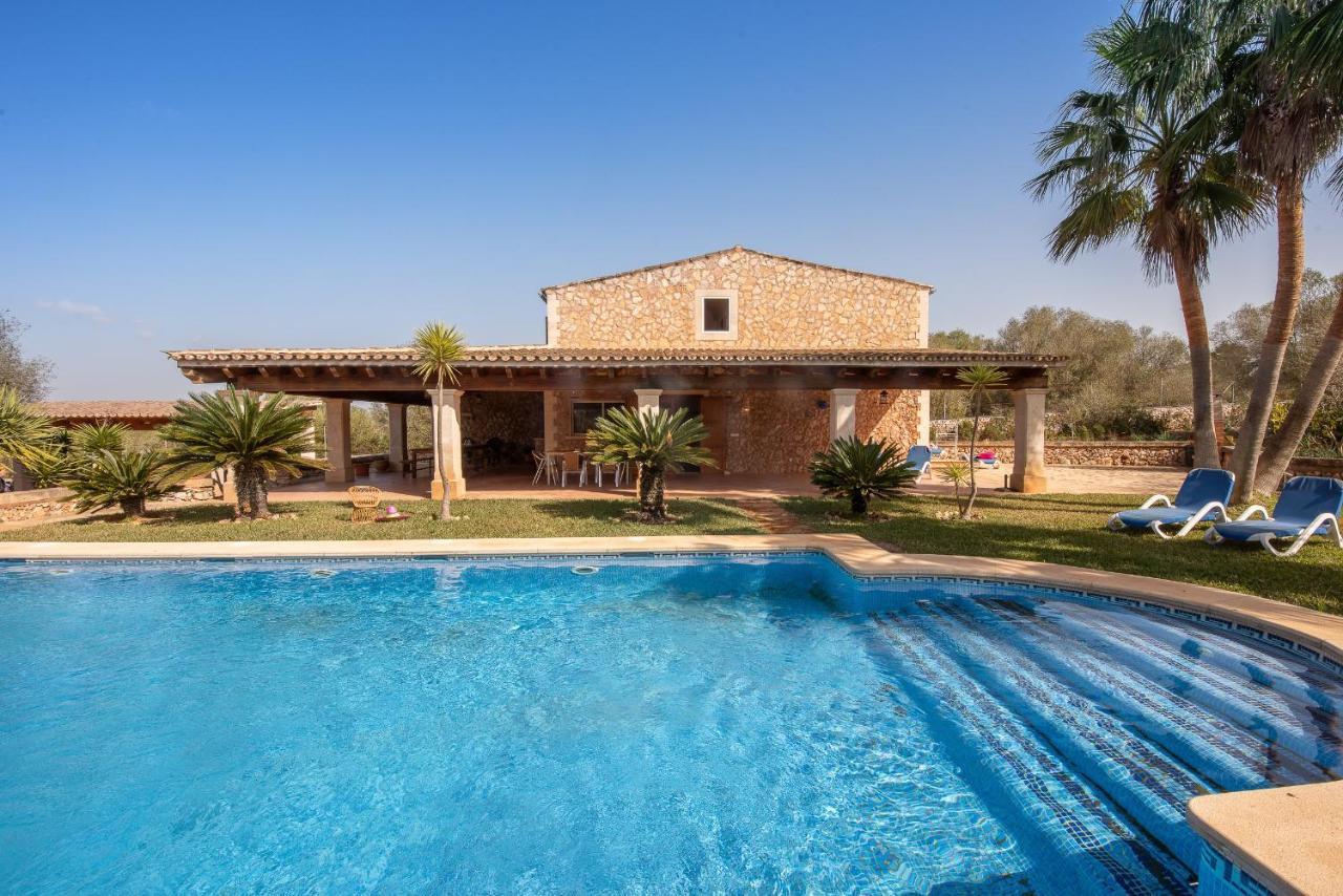 Palea * Campos (Mallorca)