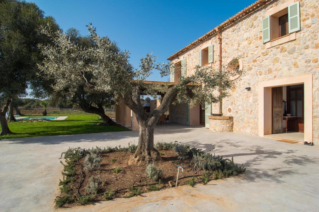 Es Vidrier Canyamel (Mallorca)