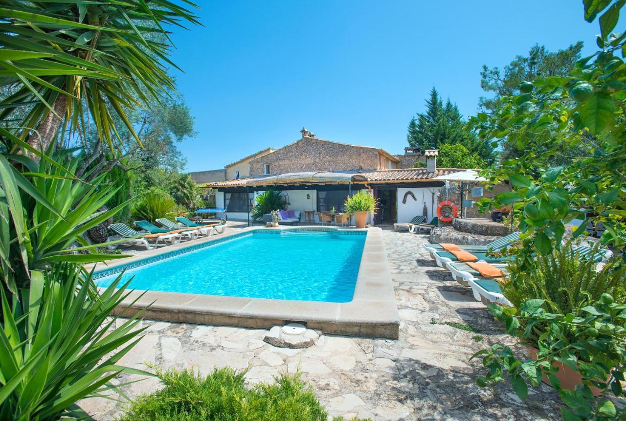Villa Owl Rafals - Wonder In The Midst Of Nature *
