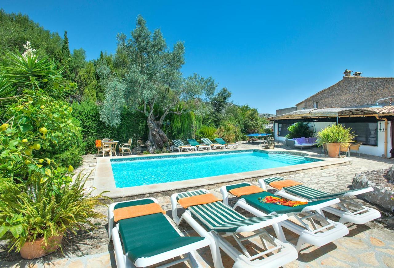 Villa Owl Rafals - Wonder In The Midst Of Nature