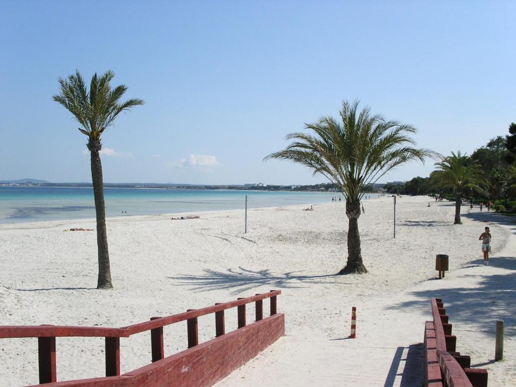 Ses Dalies Puerto de Alcúdia