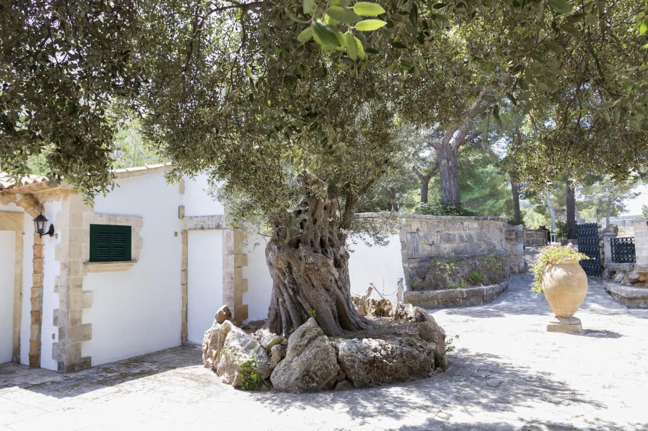 Сasa de vacaciones Gran Voramar Cala