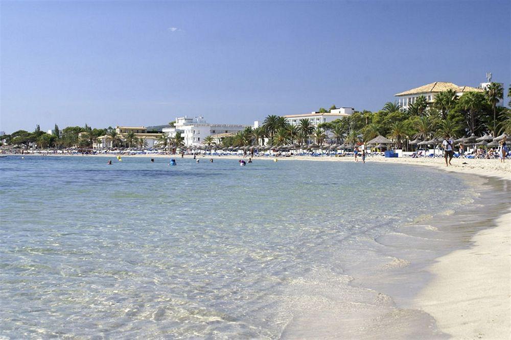 Bellamar *
