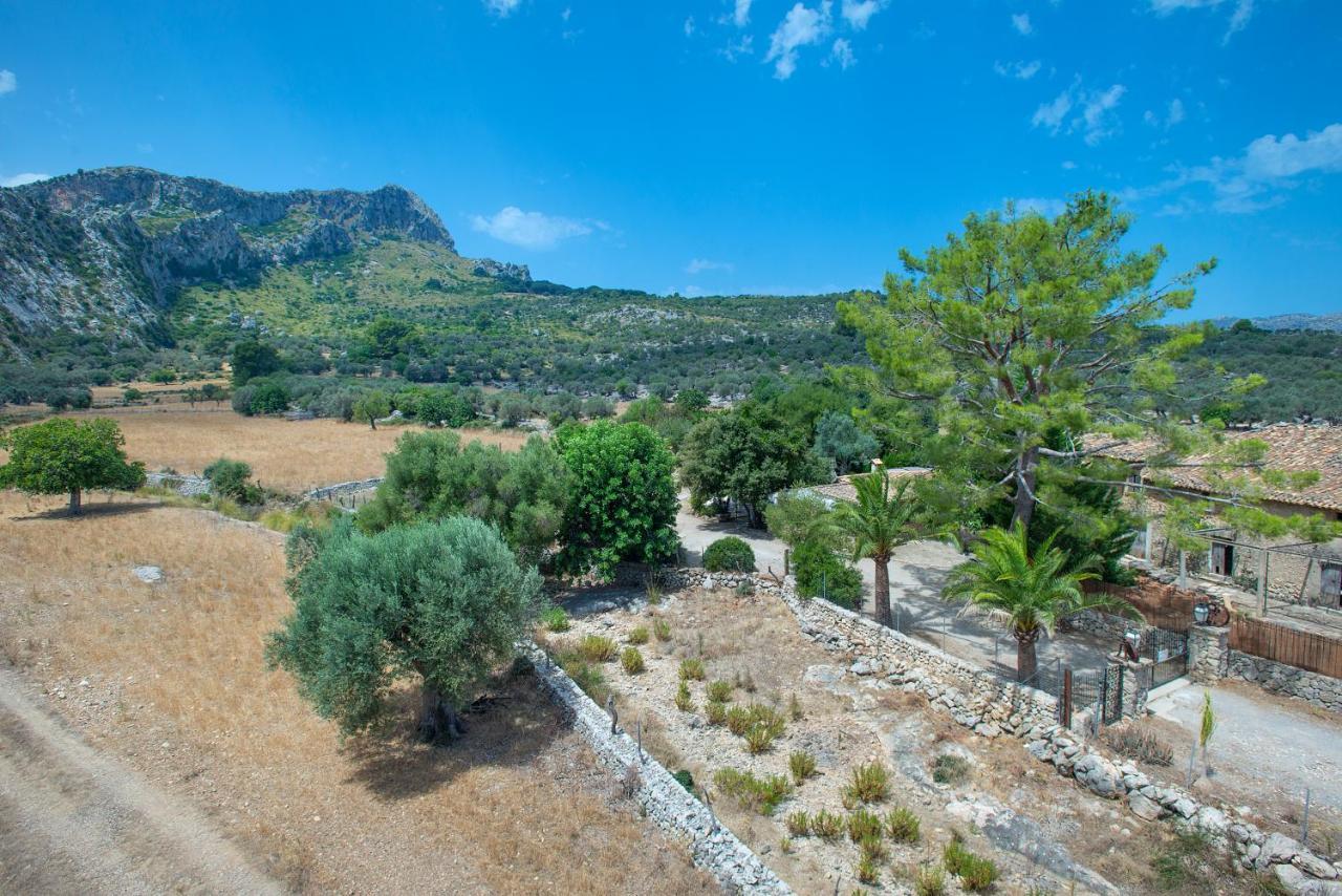 Villa Owl Rafals - Wonder In The Midst Of Nature *