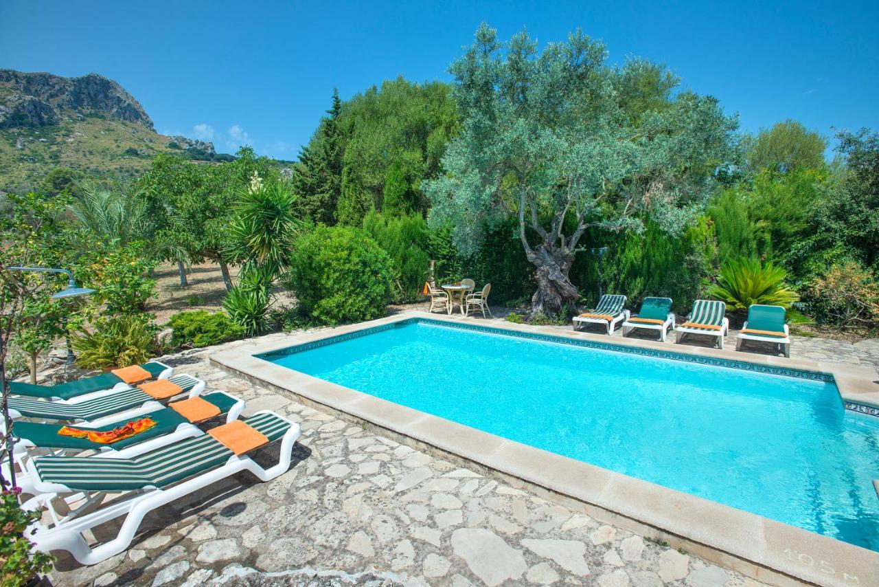 Villa Owl Rafals - Wonder In The Midst Of Nature *