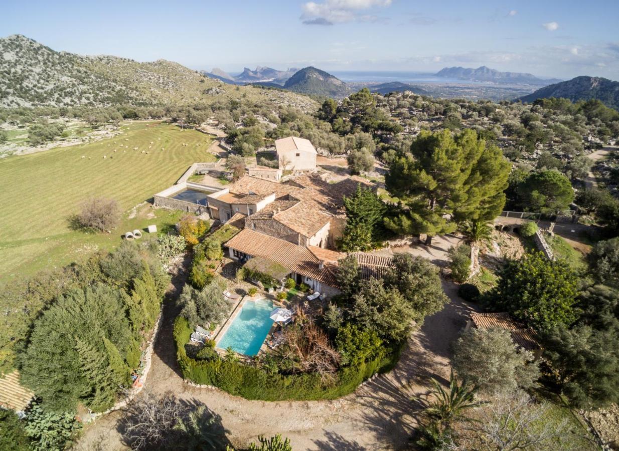 Owl Rafals - Wonder In The Midst Of Nature Villa Pollenca