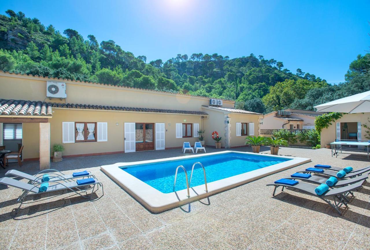 Owl Vallori - 5 Min Walk To The