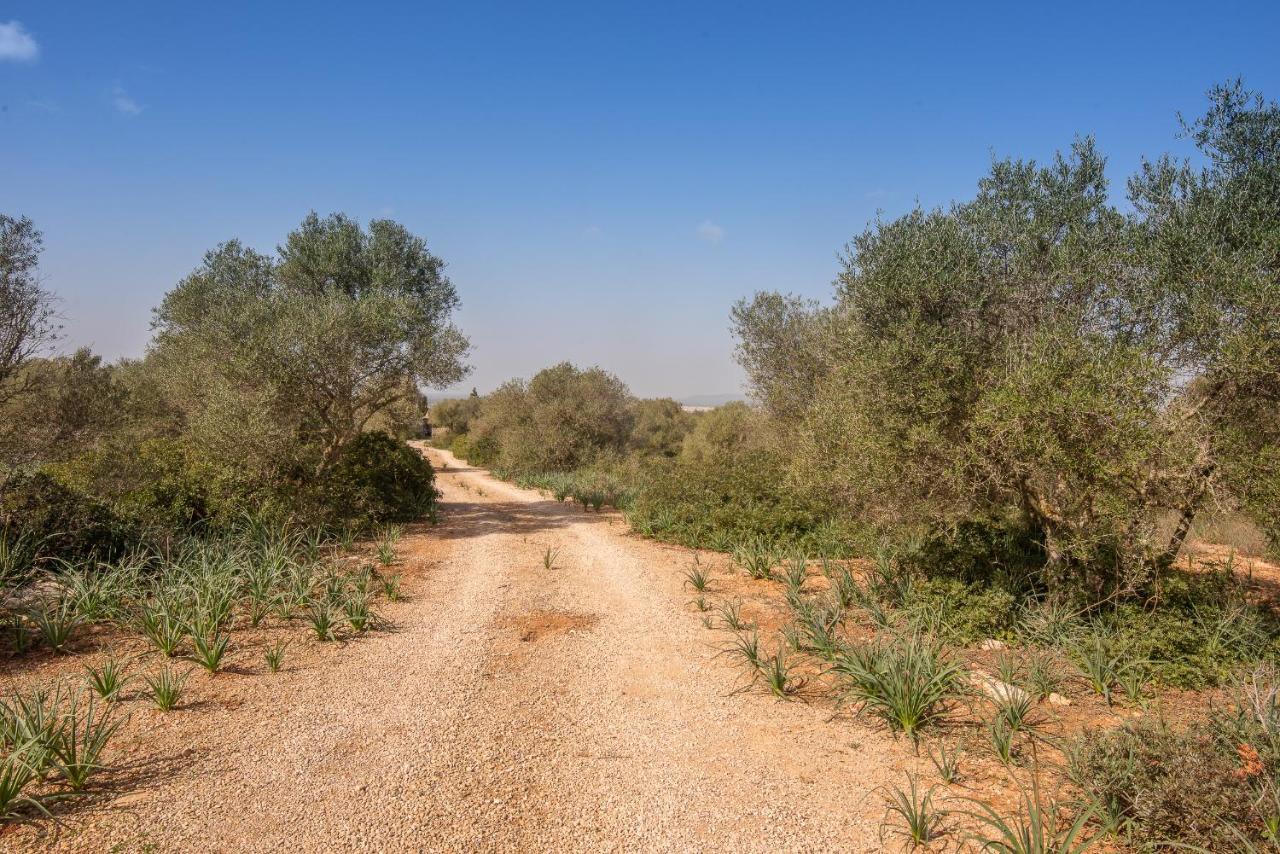 Palea Campos (Mallorca)