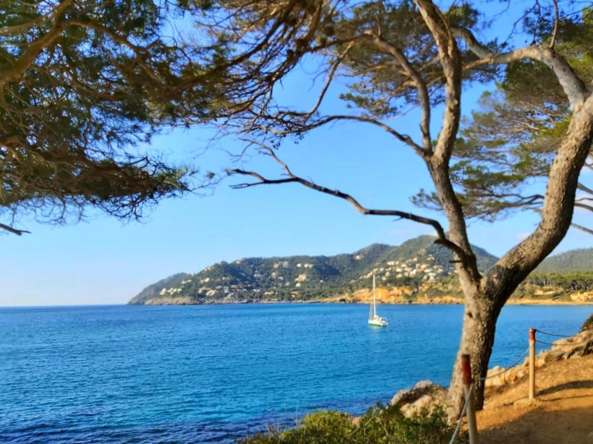 Apartamento Brand New Caladoy At 150 Meters From Canyamel Beach, Pool & Garden, Solarium Canyamel (Mallorca)