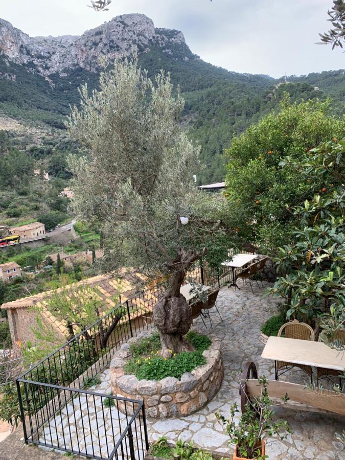Verde-adults Only Deià (Deyá)