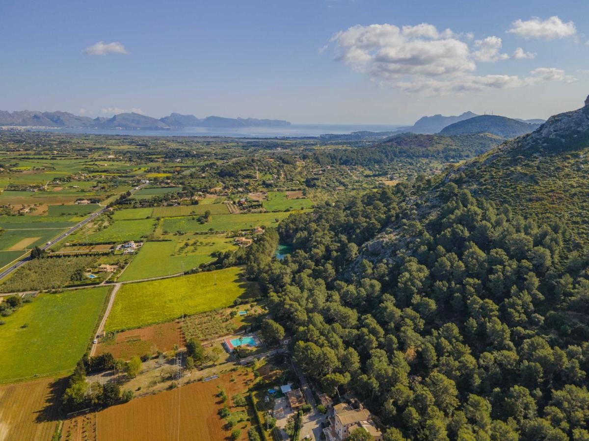Prim * Alcudia (Mallorca)