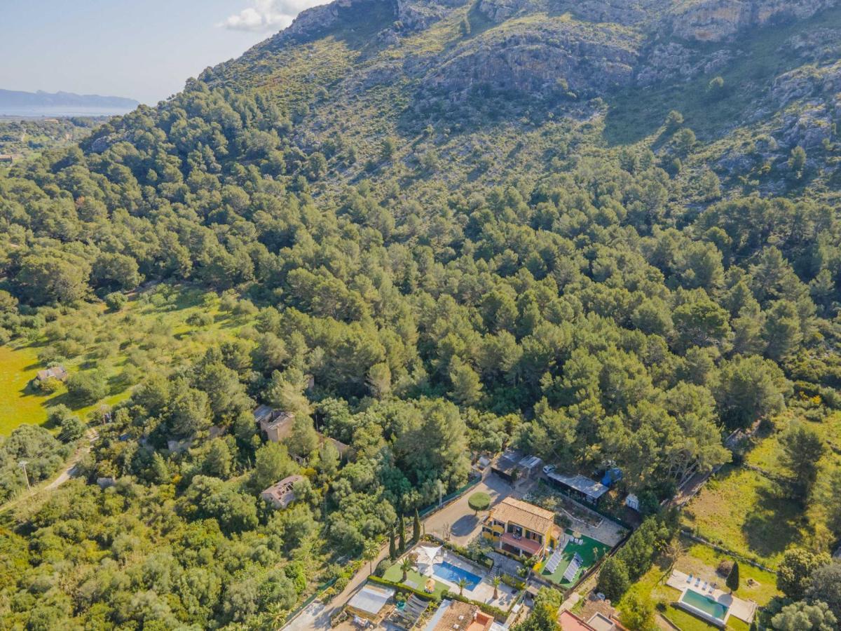 Prim * Alcúdia