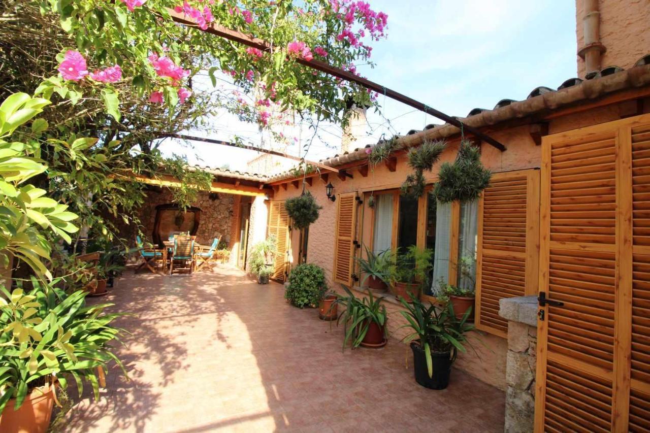Gató Den Vives Casa 4 Con Piscina
