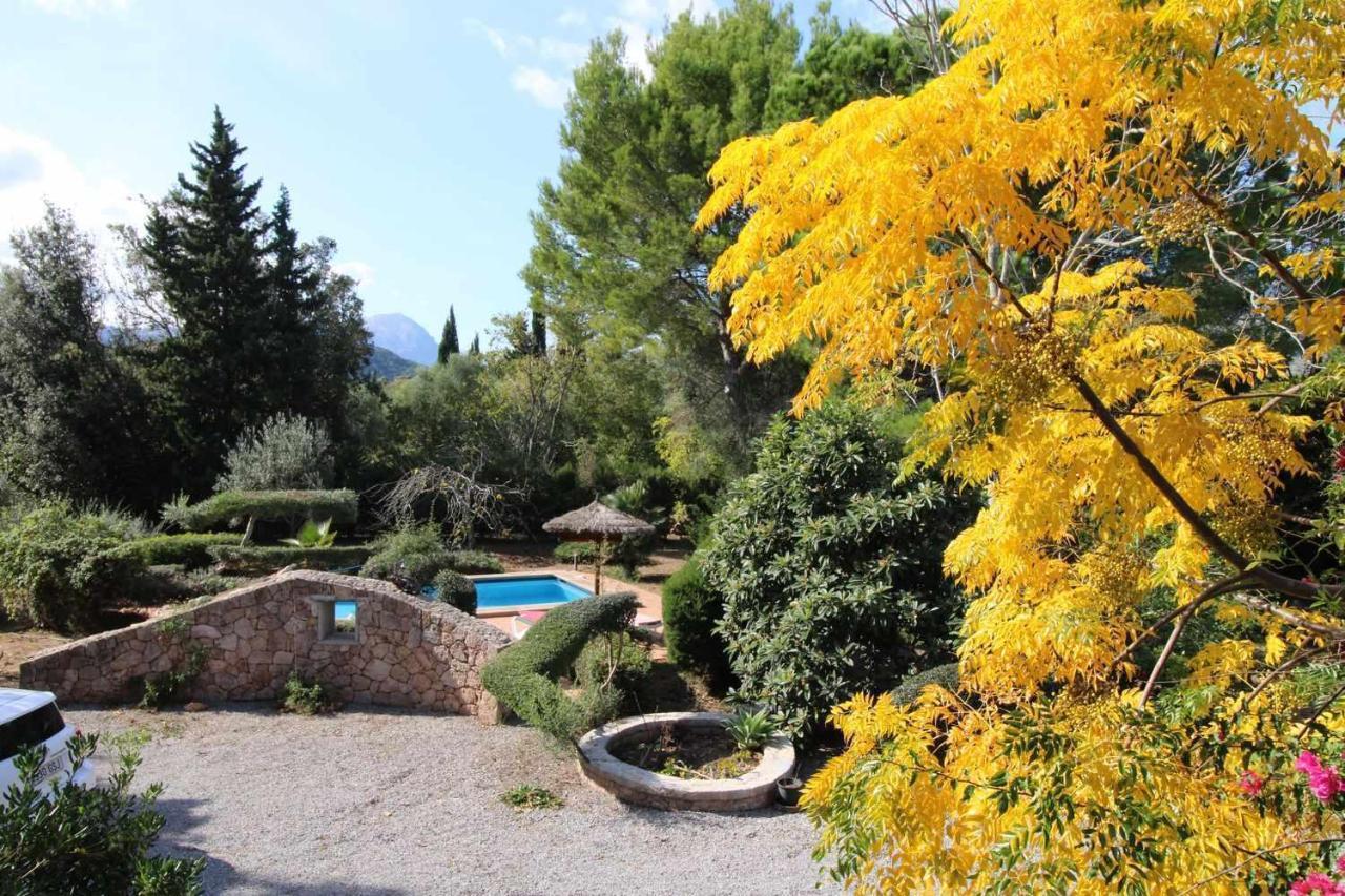 Gató Den Vives Casa 4 Con Piscina Puerto Pollensa