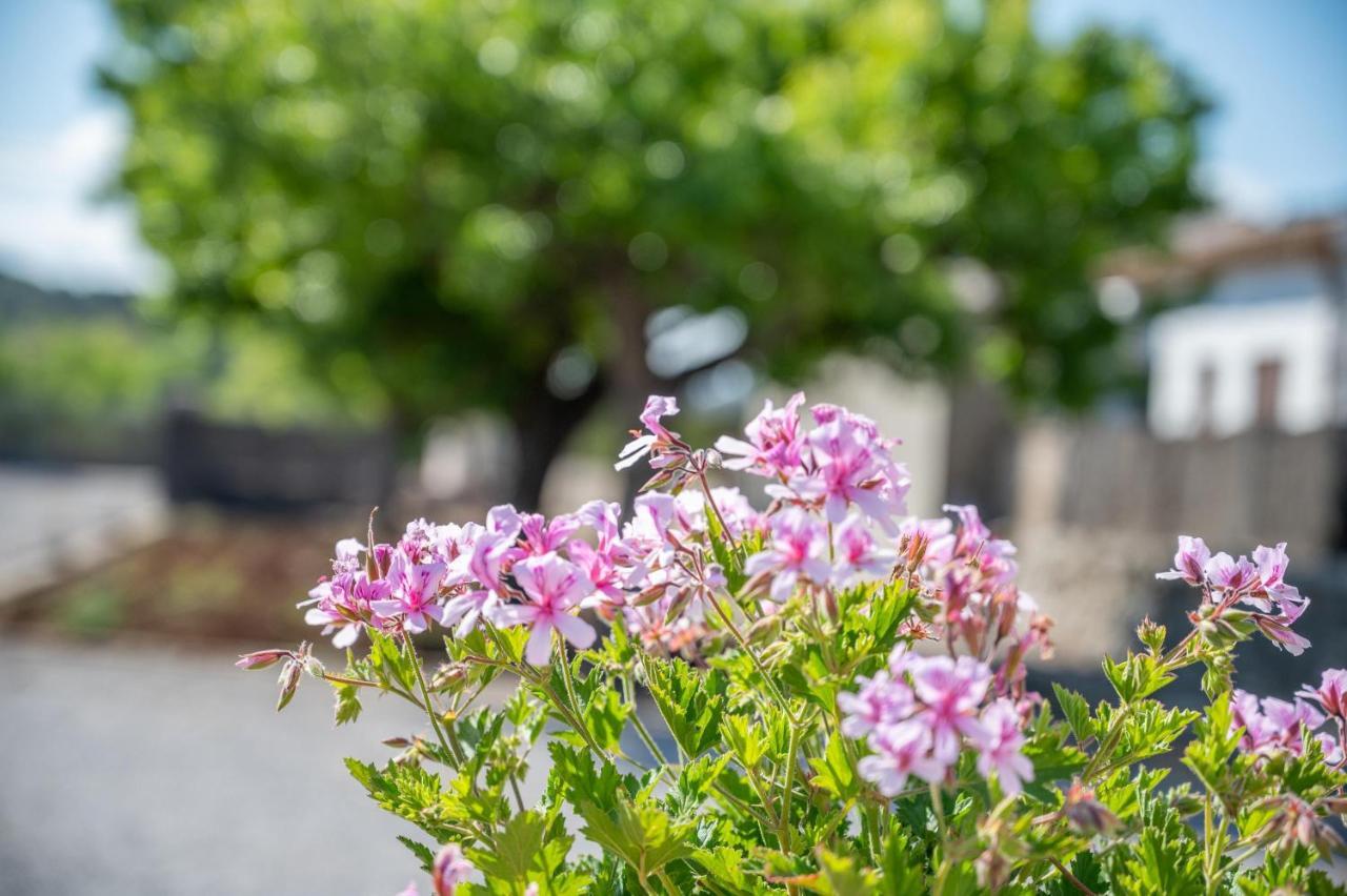 Ses Oliveres Сasa de vacaciones