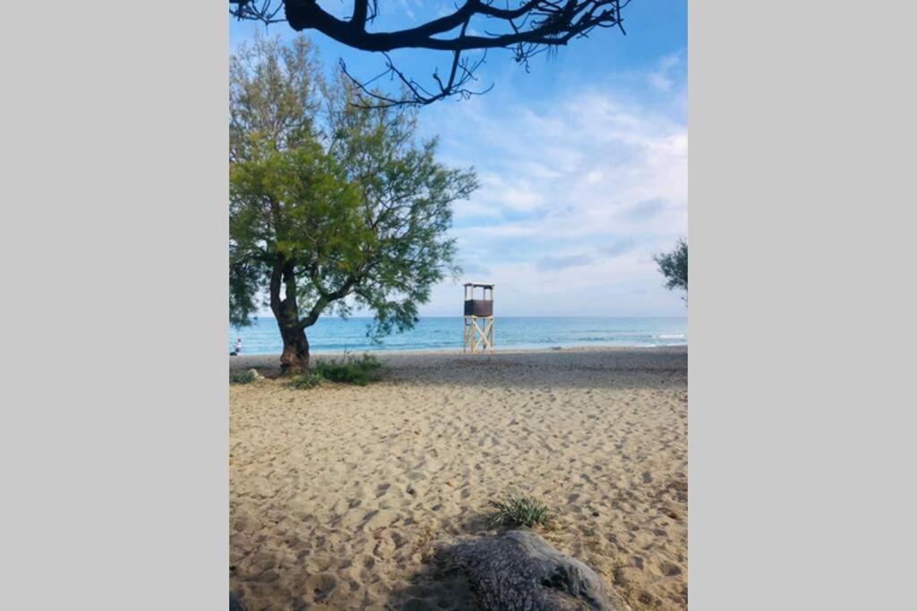 Apartamento Seaview 5c Balcony In Canyamel Torre Doy *