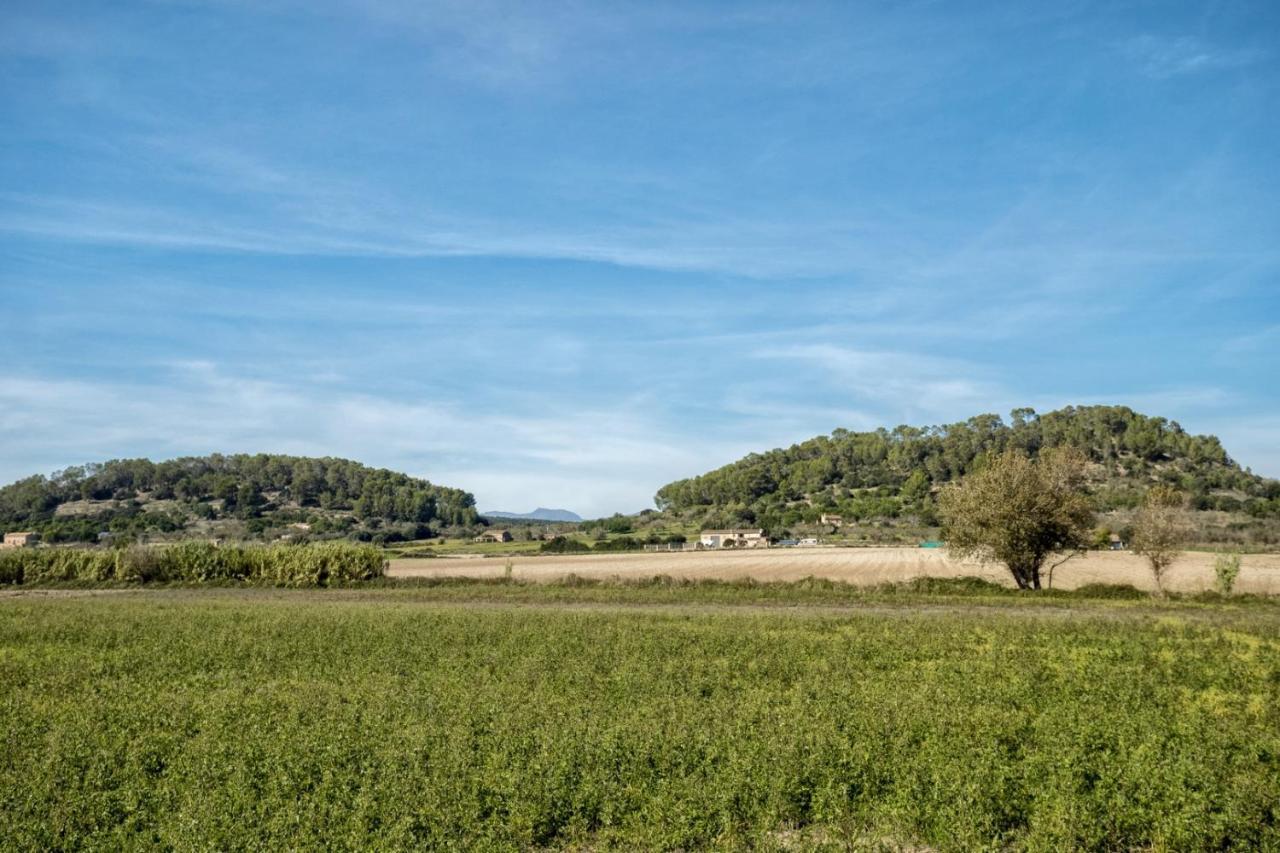 Es Camp Pla Villa *
