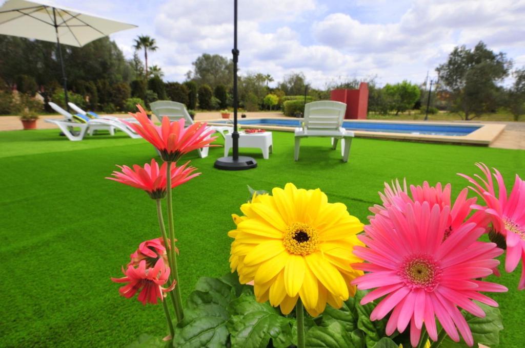 Mallorca Paradise Villa