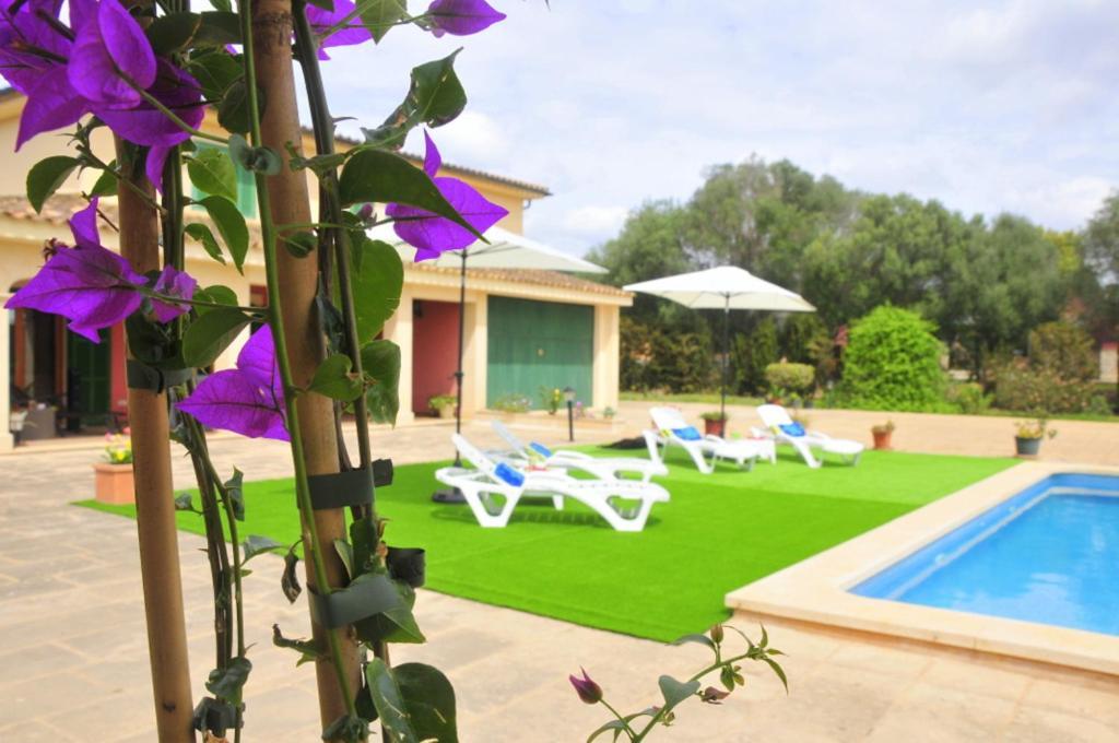Villa Mallorca Paradise Llucmajor (Mallorca)