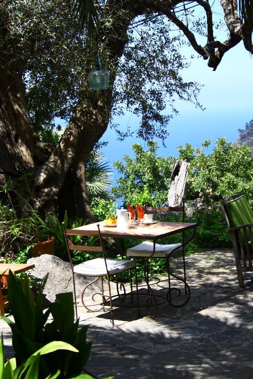 Sa Plana Petit 3* Estellencs (Estellenchs)