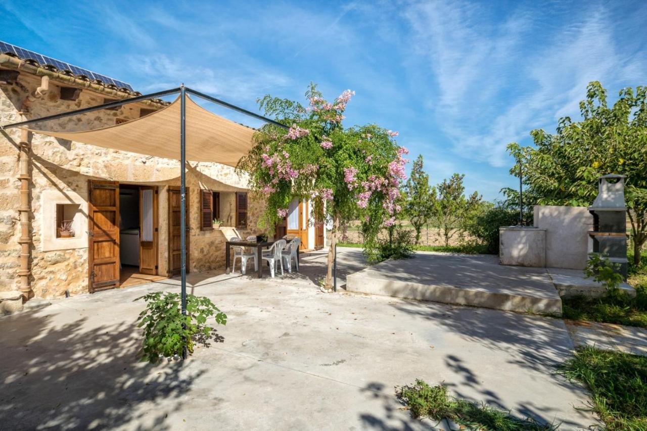 Es Camp Pla Villa