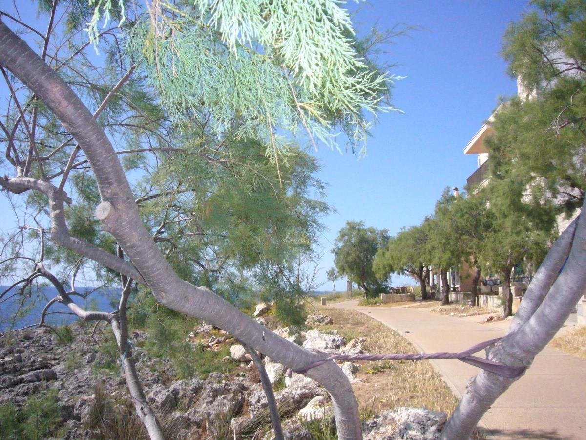 Randemar *