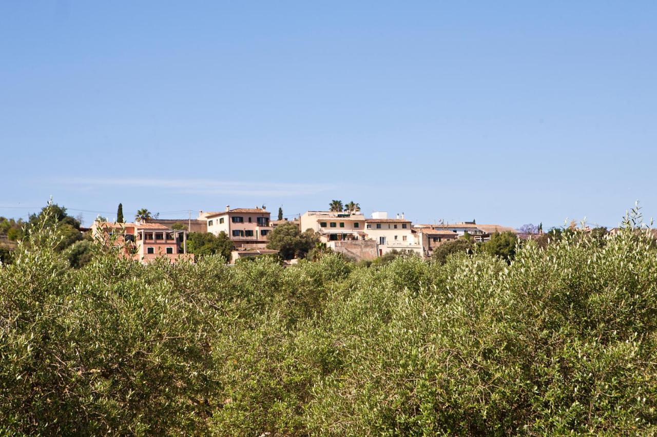 S'hort De Son Caulelles - Adults Only Agroturismo Marratxí