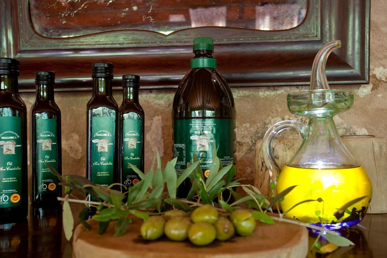 S'hort De Son Caulelles - Adults Only Agroturismo *